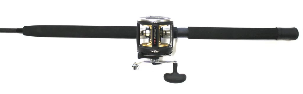 FLADEN Warbird / Maxximus Meeres-Ruten-Rollenkombo - Image 2