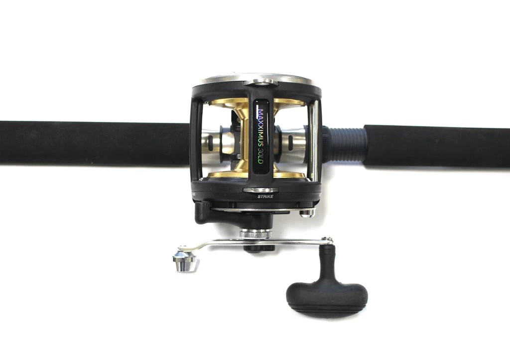 FLADEN Warbird / Maxximus Meeres-Ruten-Rollenkombo - Image 3